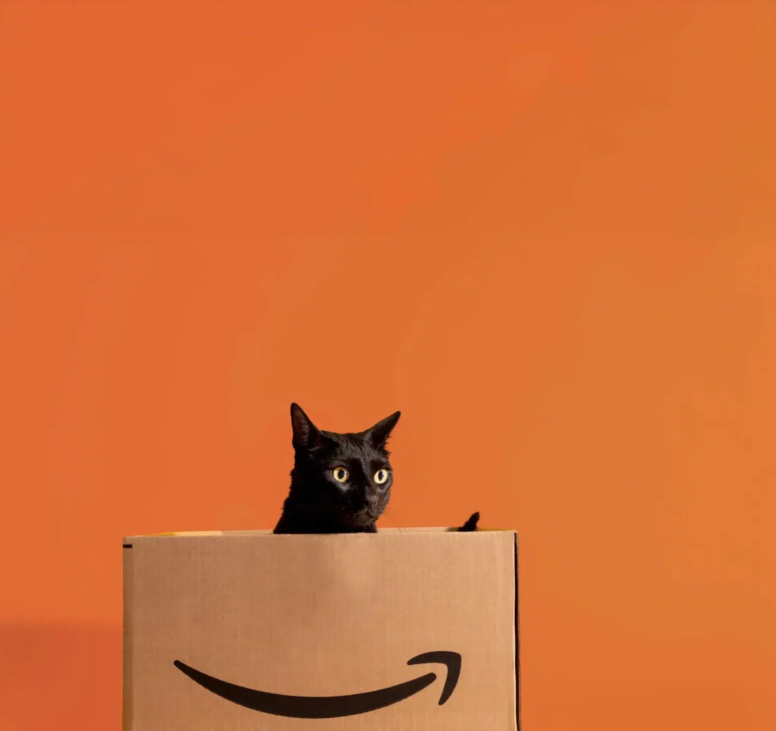 无缝背景棚